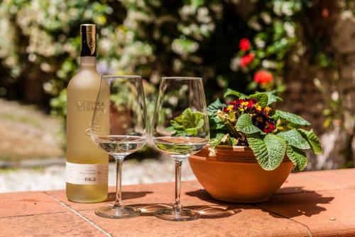 Hostly Garden House Near the Tower Historical House with Private Garden in Pisa, Italy