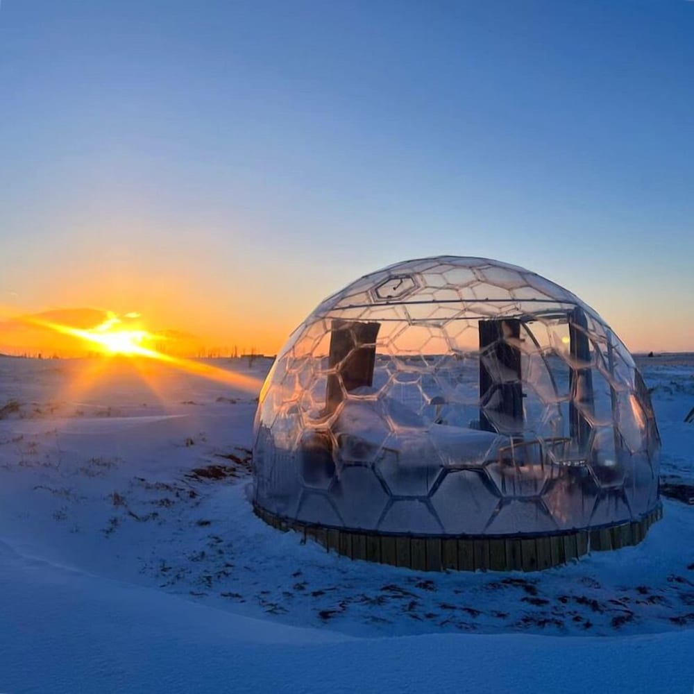 Aurora Igloo North in Unknown City, Iceland