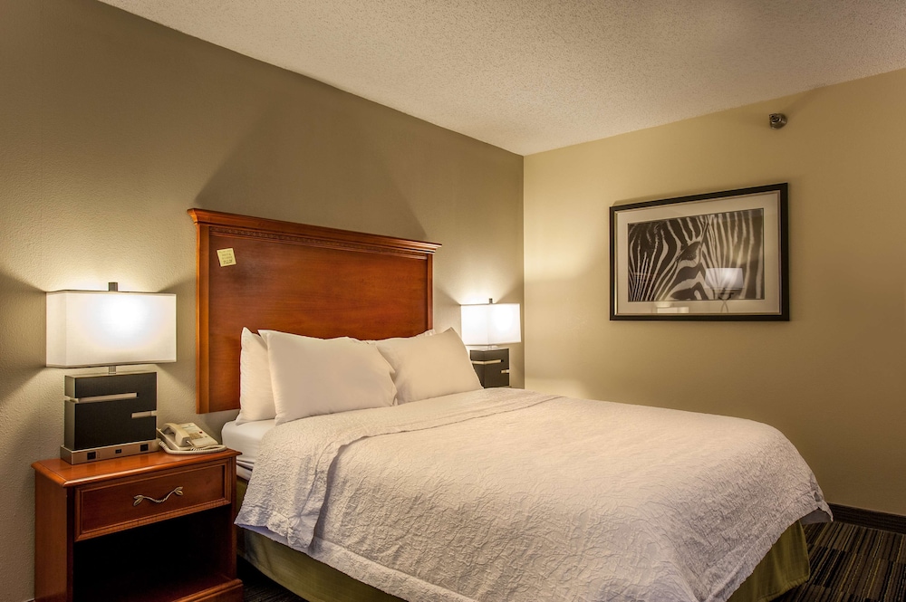 Hampton Inn by Hilton Bowling Green - photo 10