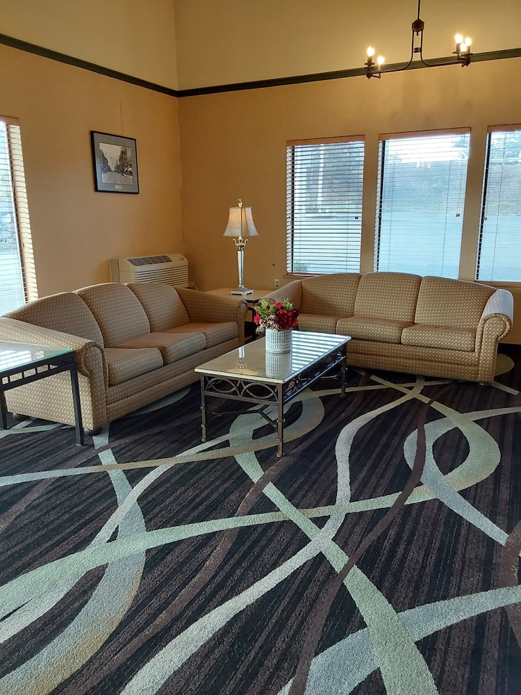 Lavissh Inn & Suites - photo 14