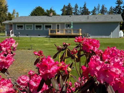 Sq Seashells Nest — Sequim