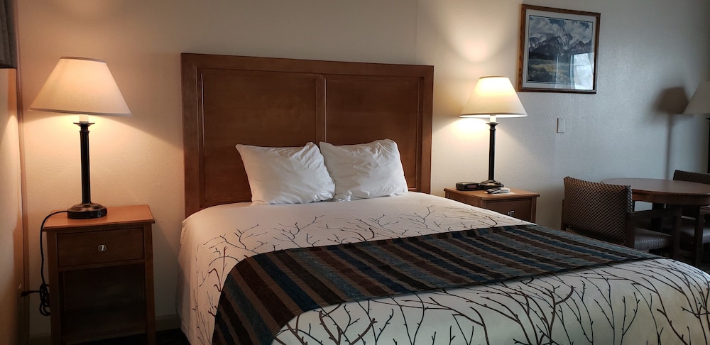 Stagecoach Inn & Suites - photo 8