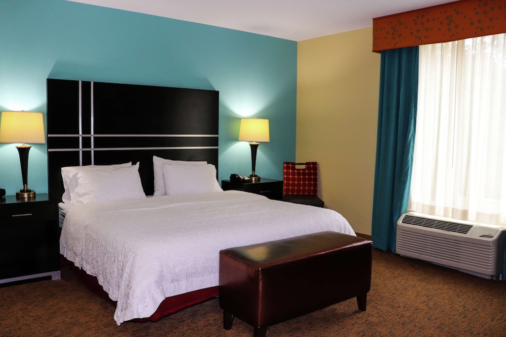 Hampton Inn Austin Oak Hill - photo 12