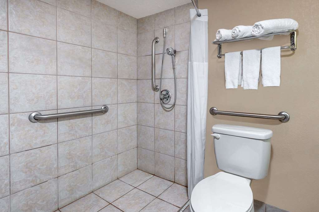 Days Inn by Wyndham Albion - photo 10
