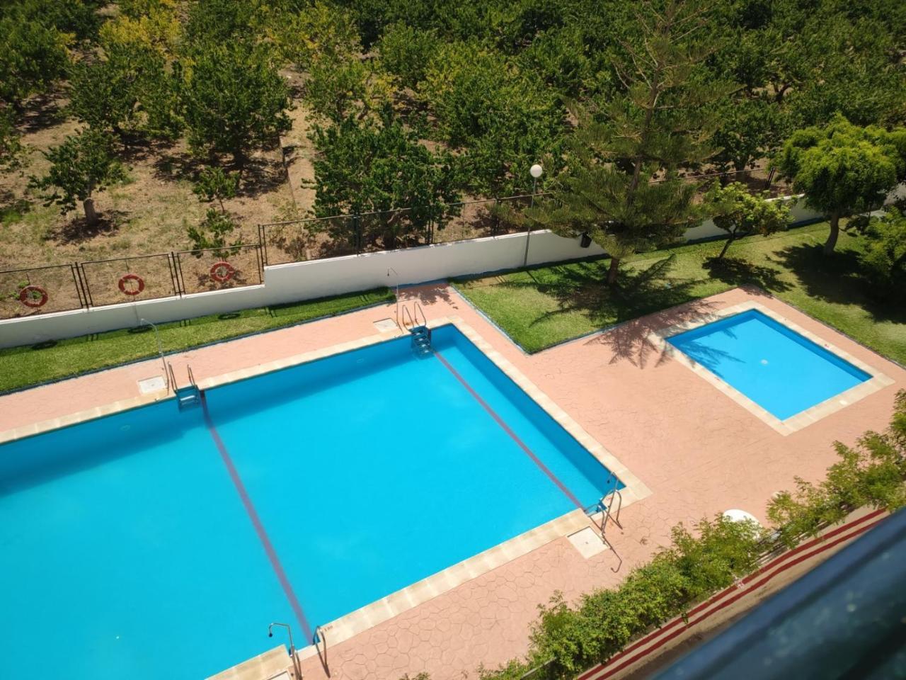 Las Palmeras — Almunecar — photo 3