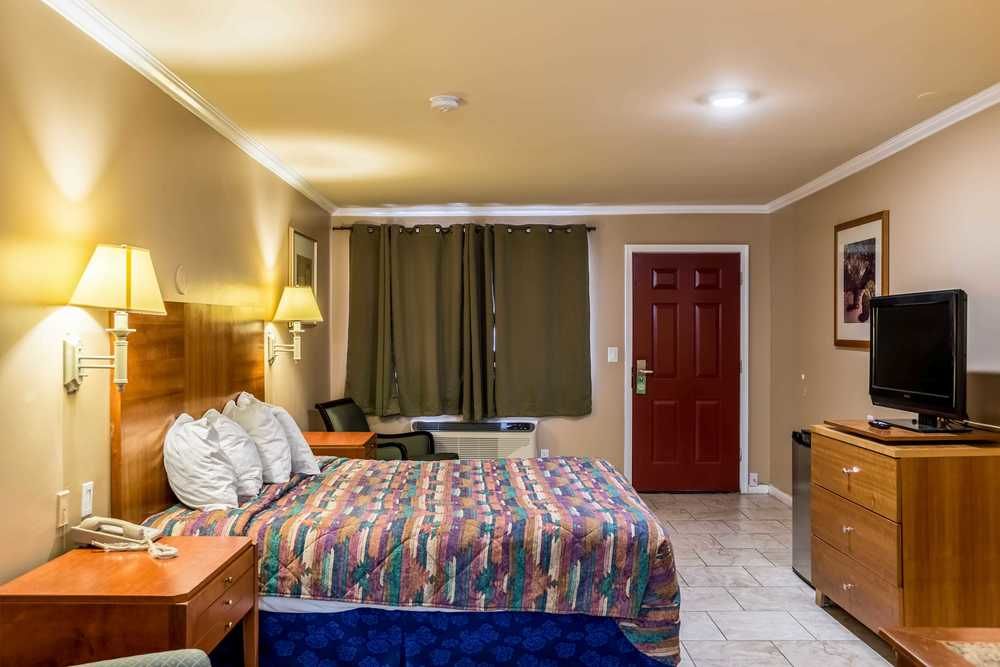 Wildcat Inn - photo 16