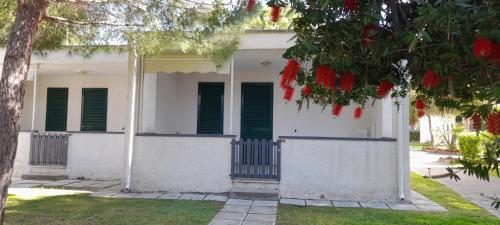 Ibiscus Beach Village in Follonica, Italy