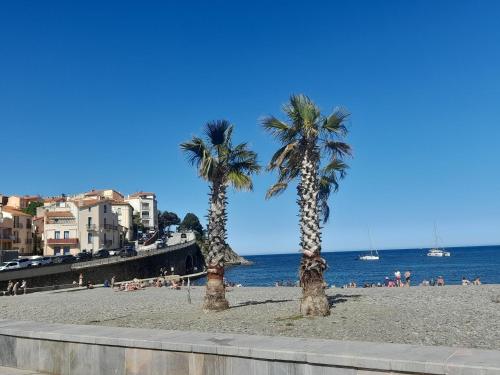 Junior 14600 in Banyuls De La Marenda, France