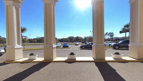 Windsor Inn of Jacksonville - photo 6