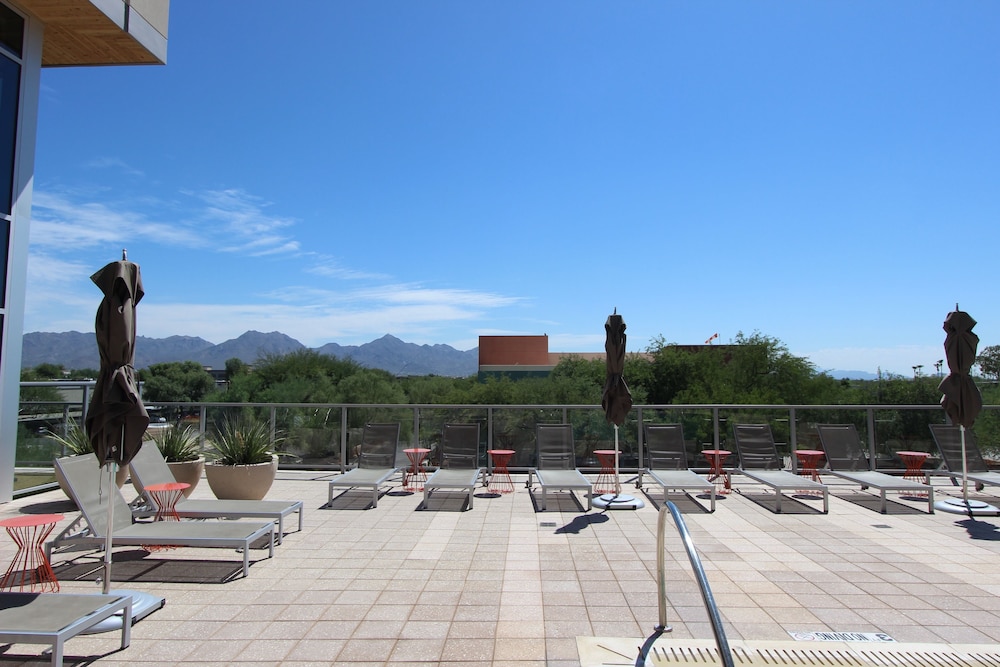 The Stay in Kierland - photo 17
