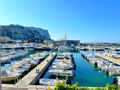 Le Palmyre in Cassis, France