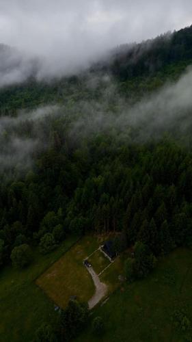 Zuri - carbon neutral hotel in Unknown City