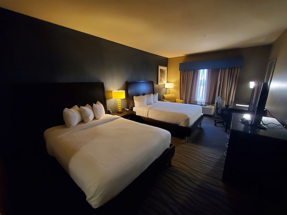 Hilton Garden Inn Fort Worth Alliance Airport - photo 10