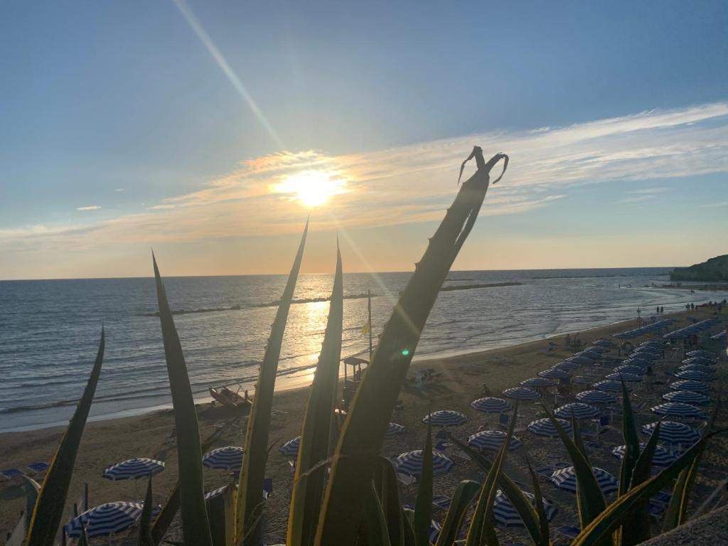 B&B Vittoria — 4-Star Luxury Hotel in Anzio, Italy