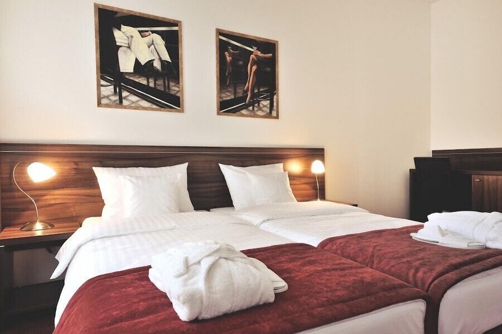 Hotel Centrum Sosnowiec — hotel in Sosnowiec