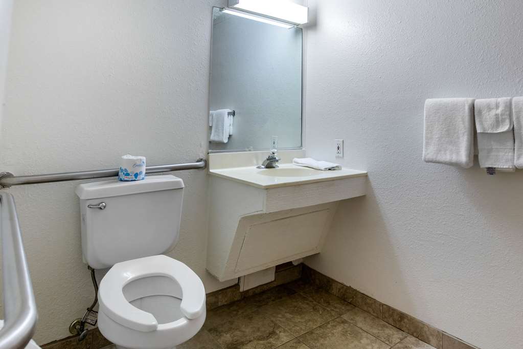 Rodeway Inn Auburn Hills Detroit - photo 25