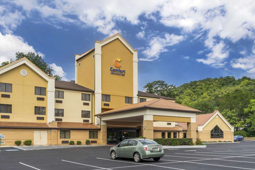 Comfort Inn & Suites LaVale Cumberland - photo 2