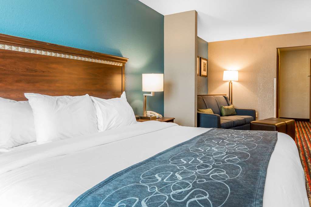 Comfort Suites Fairview Heights St. Louis - photo 16