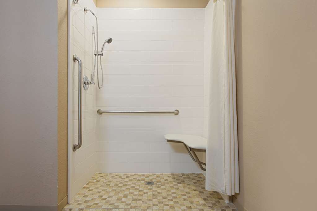 Microtel Inn & Suites by Wyndham Walterboro - photo 11