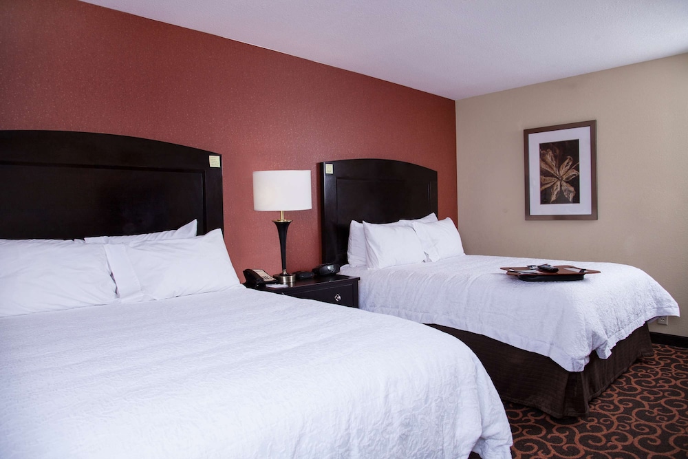 Hampton Inn & Suites Dickinson - photo 34