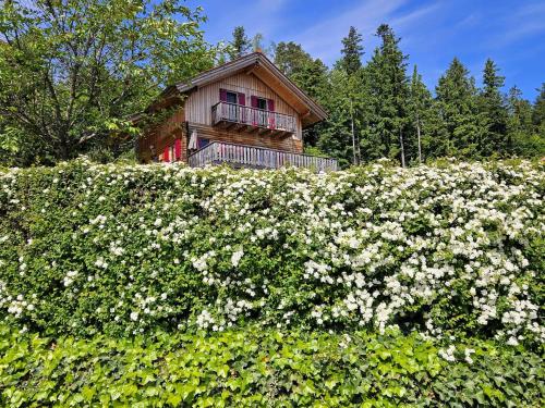 Großes Ferienhaus mit 5 Schlafzimmer & 4 Bäder — hotel in Poellauberg