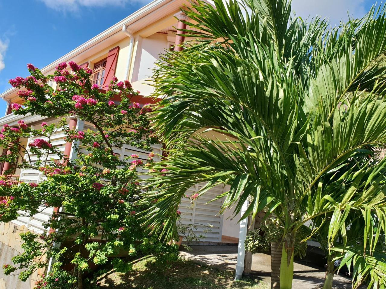 Vert Ocean — 4-Star Luxury Hotel in Le Marin, Martinique