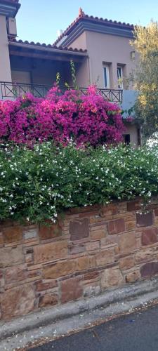 Villa Marisia — Chios — photo 3