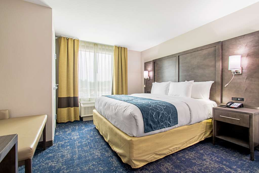Comfort Suites Humble Houston IAH - photo 6
