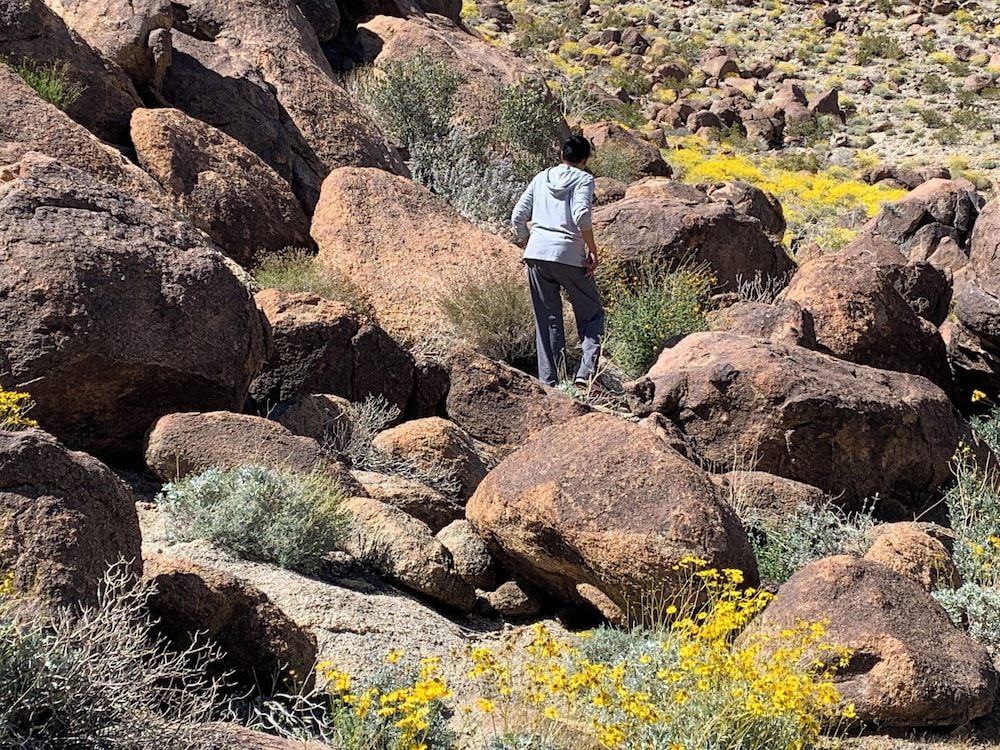 Starlight Inn & Suites Motel 29 Palms Joshua Tree National Park in Twentynine Palms, United States