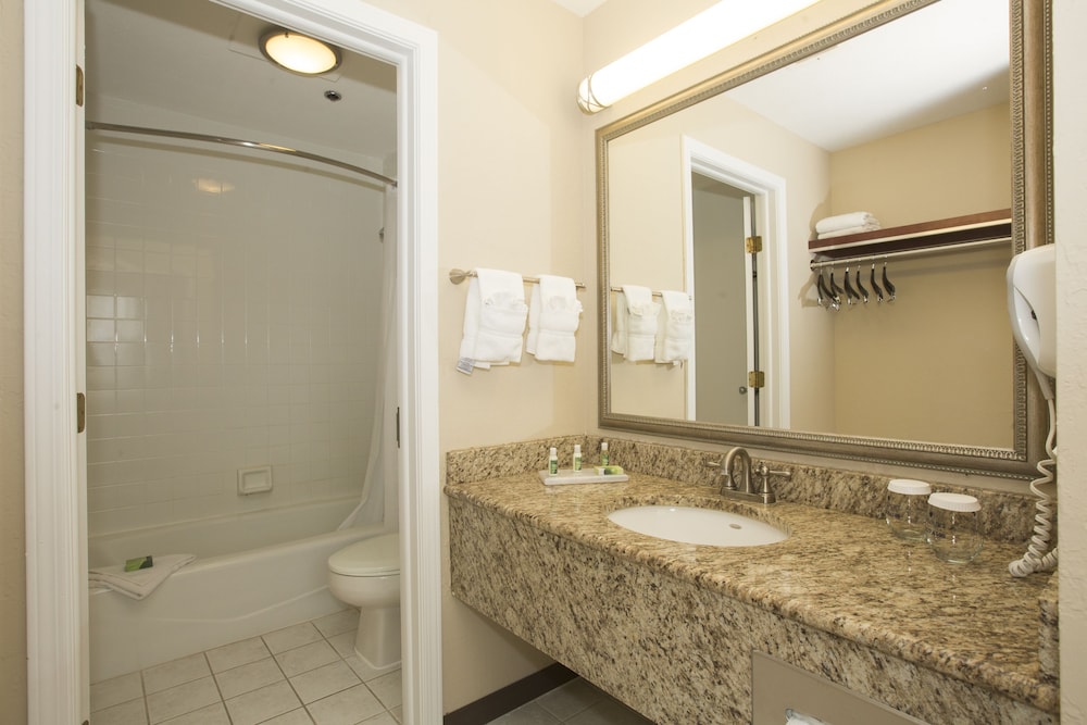 Ivy Court Inn & Suites - photo 22