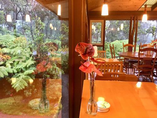 Volcano Inn - photo 47