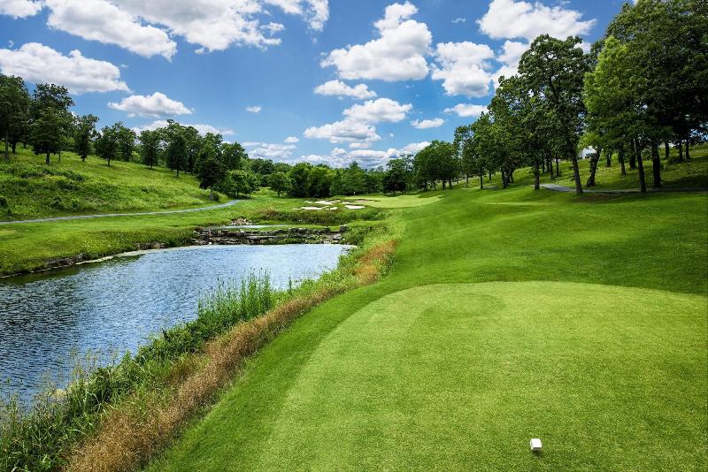 The Links At Thousand Hills - photo 35