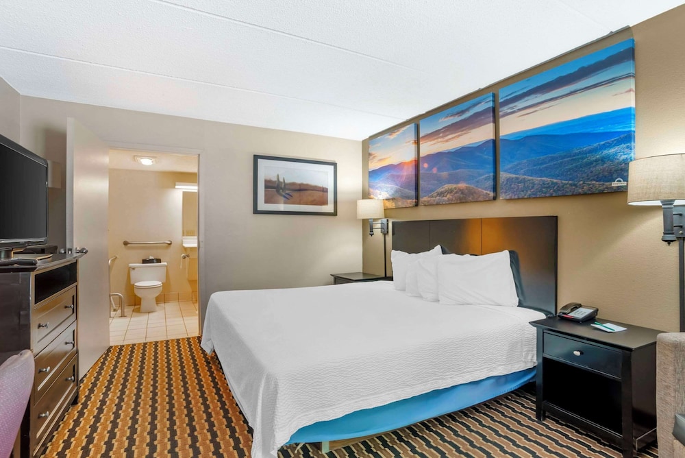 Quality Inn near Speedway - photo 15