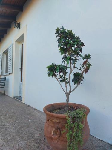 La Porota — Ramallo