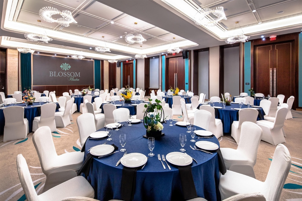 Blossom Hotel Houston Curio Collection by Hilton - photo 106
