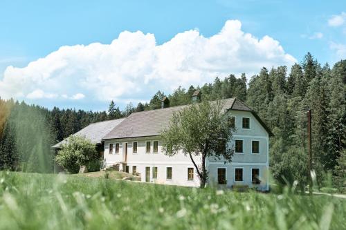 Auszeit am Kamp Ferienhaus Rametsteiner in Unknown City, Austria