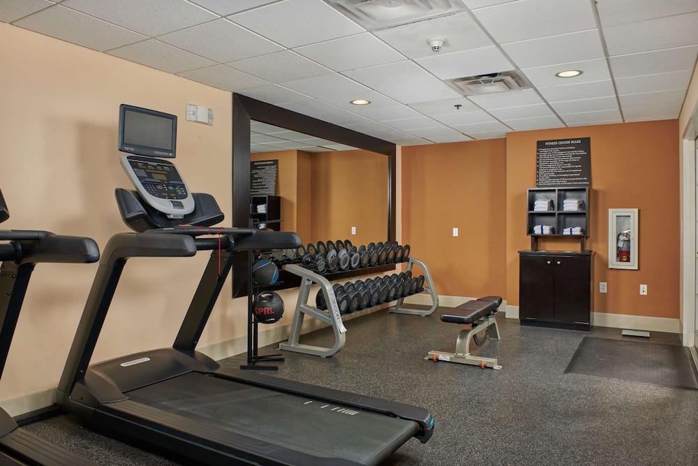 Homewood Suites by Hilton Sarasota - photo 37