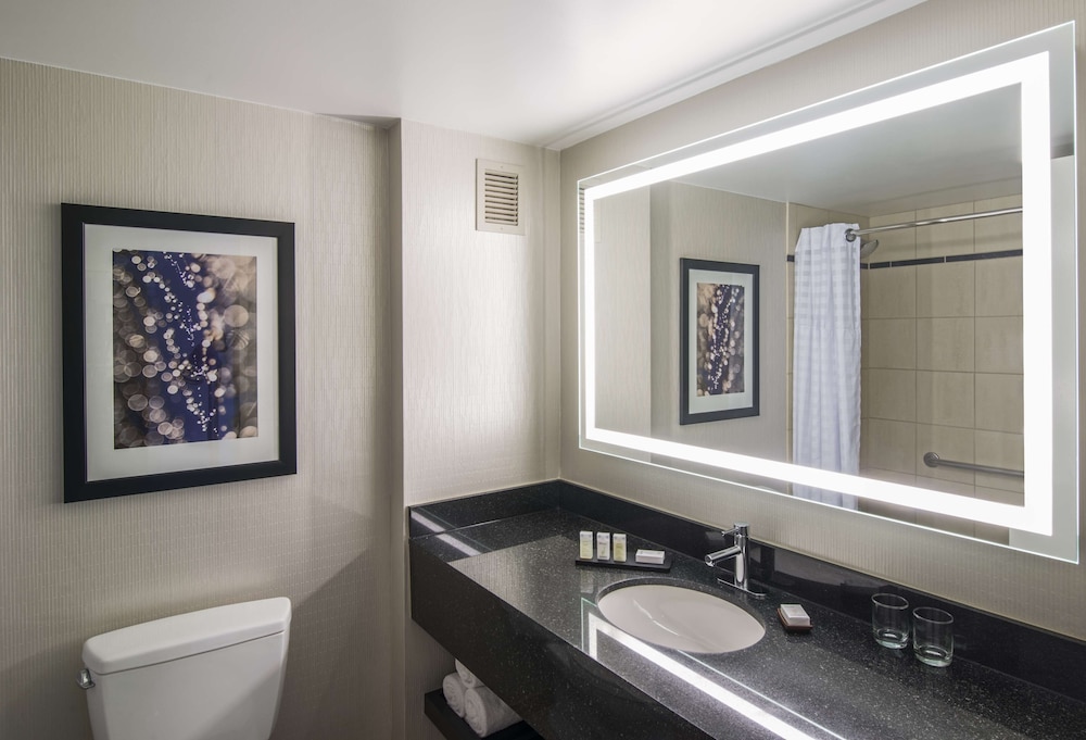 Embassy Suites by Hilton Chicago Downtown Magnificent Mile - photo 33