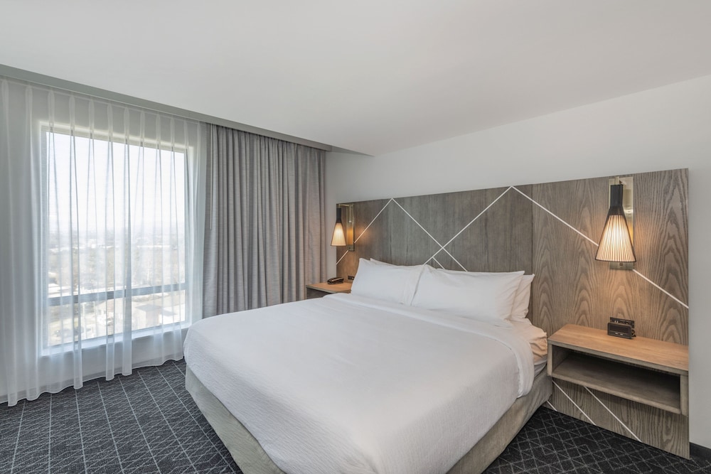 Embassy Suites By Hilton Asheville Downtown - photo 13