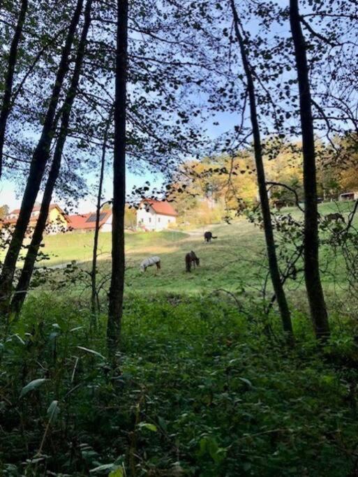 Kellerstockl Am Gut Kunterbunt pet-friendly hotel Hartl