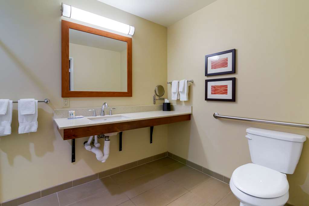 Comfort Inn & Suites Mandan Bismarck - photo 8