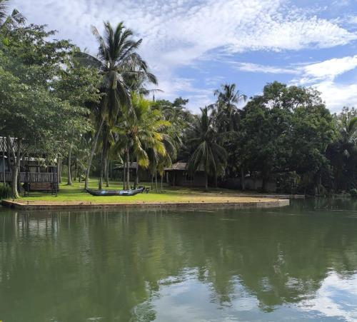 Yonan River Face Safari Resort in Unknown City, Sri Lanka