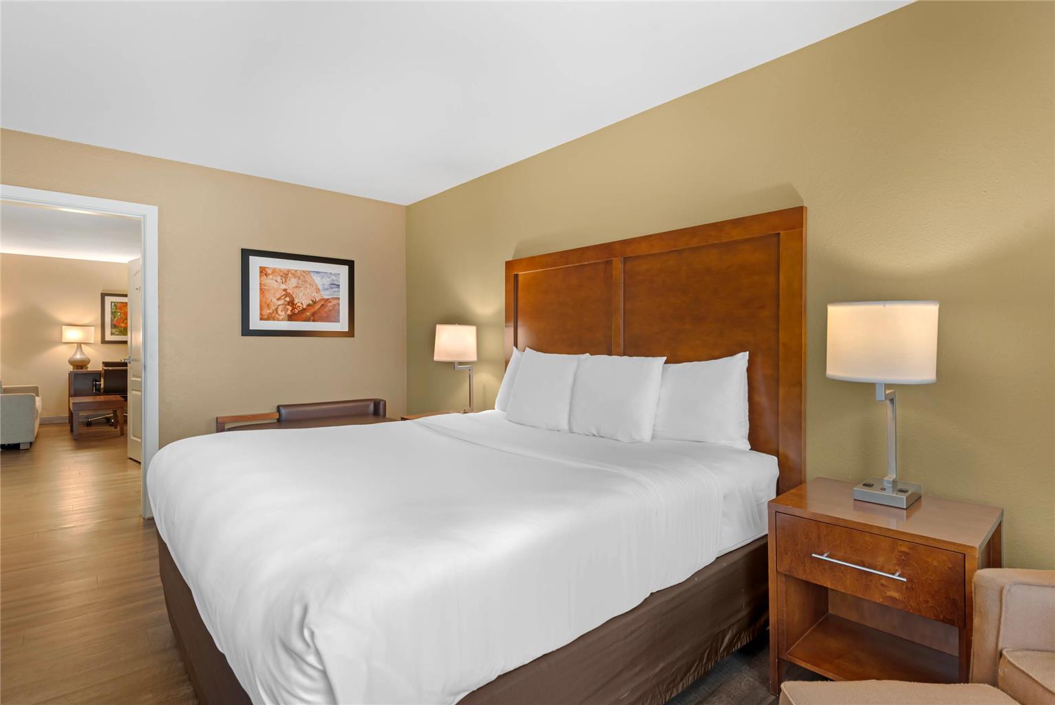 Comfort Inn & Suites Carbondale on the Roaring Fork - photo 47