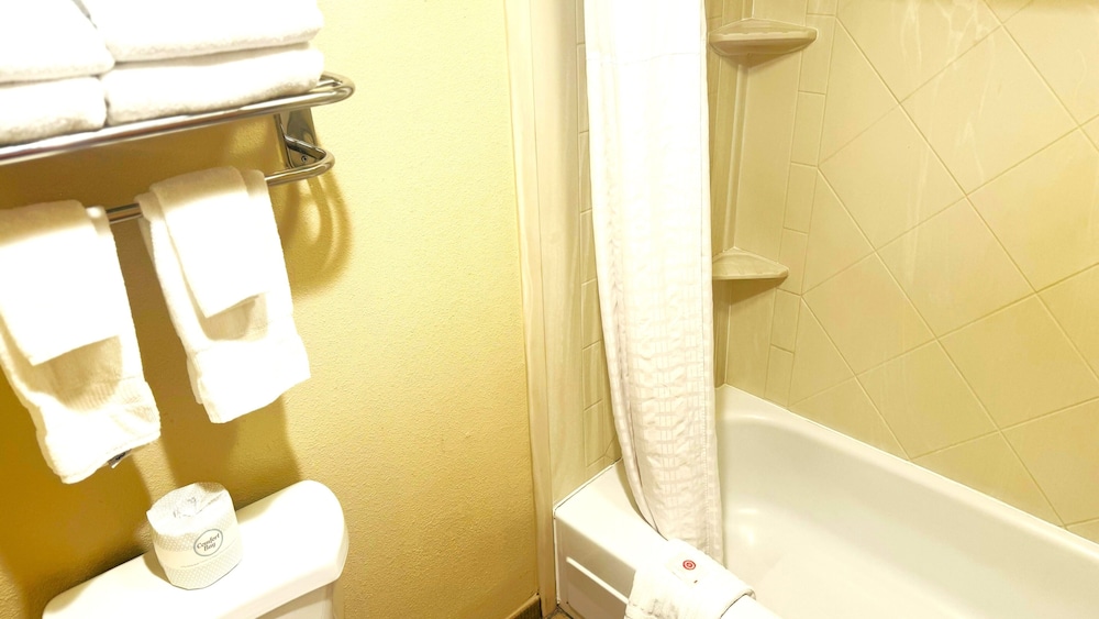 Comfort Inn Salt Lake City Downtown - photo 50