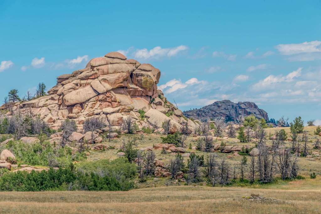 Super 8 by Wyndham Laramie - photo 8