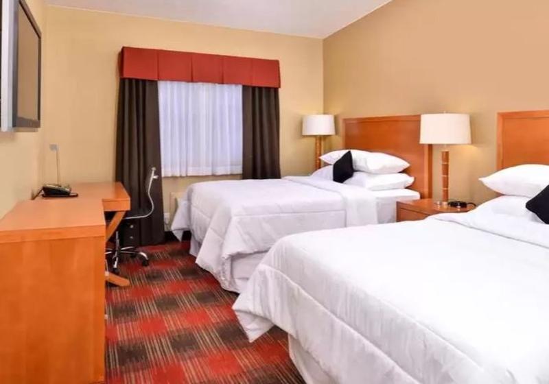 Quality inn Airport Spokane Airport - photo 14
