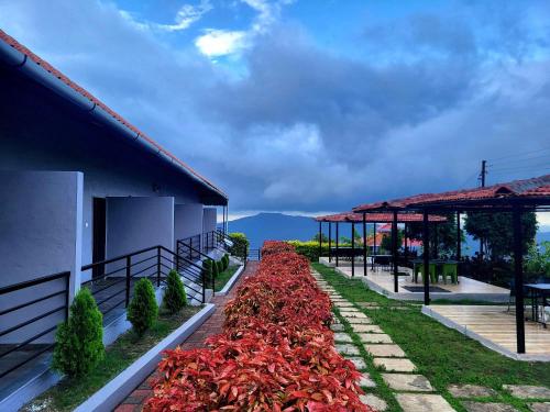 Vayu Resort Kas Pathar in Satara, India