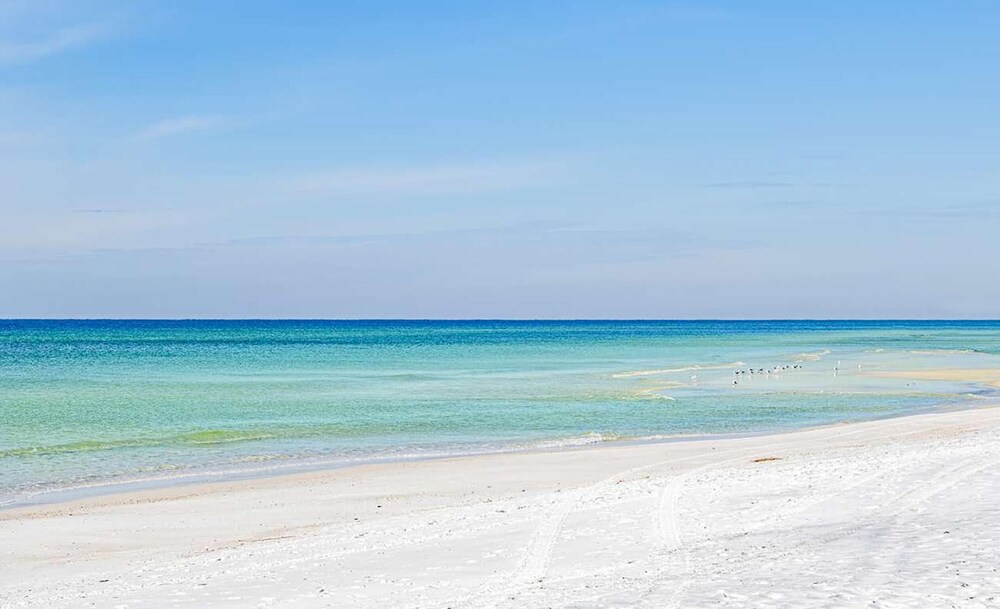 Majestic Beach Towers 2 1305 - photo 43