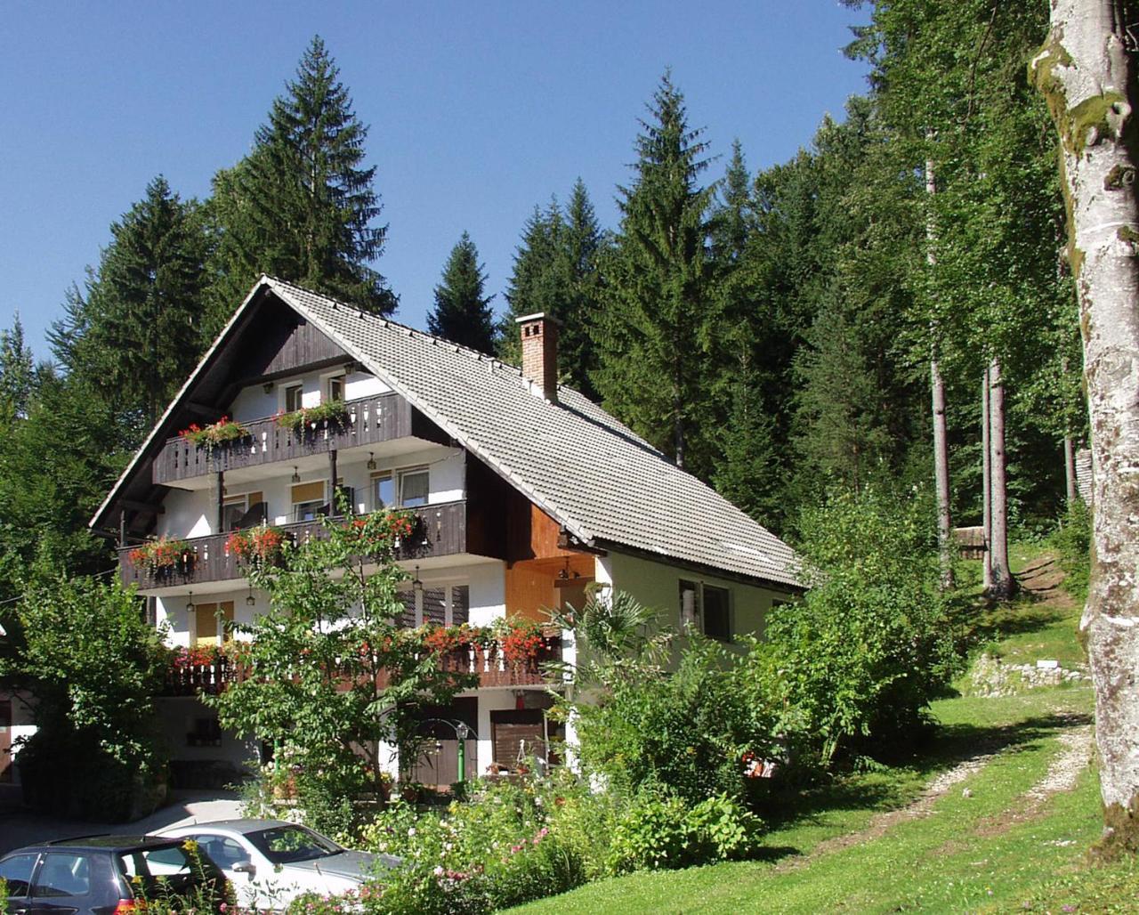 Accommodation Destina Lake Bohinj in Unknown City, Slovenia