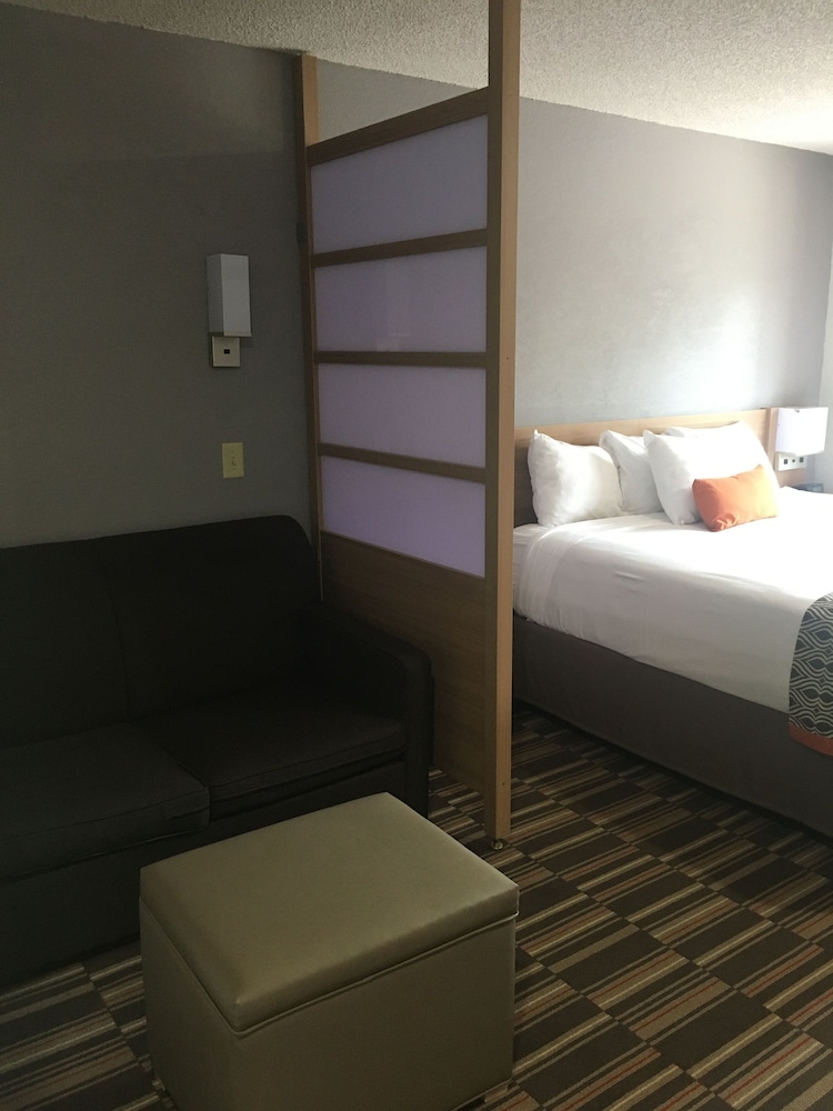 Microtel Inn & Suites by Wyndham Florence - photo 3